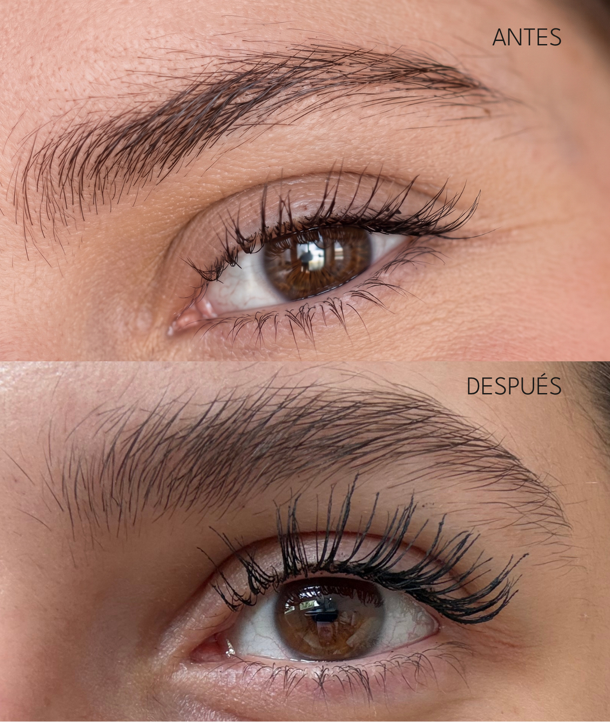 Serum para pestañas y cejas